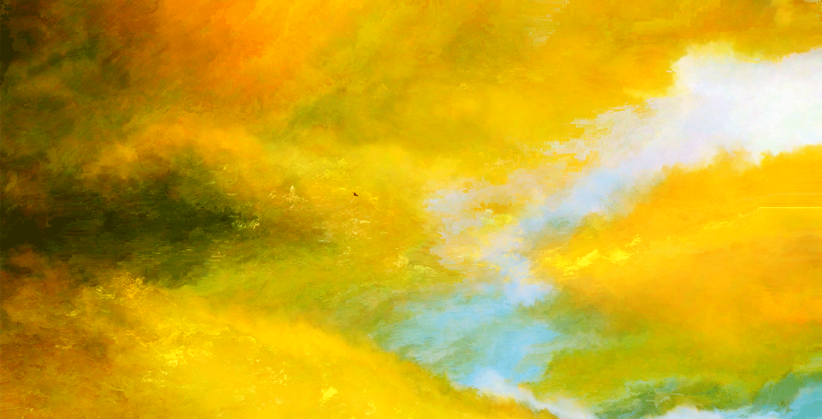 Carte blanche à Jacques Perconte